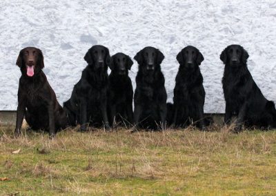 group in front of wall